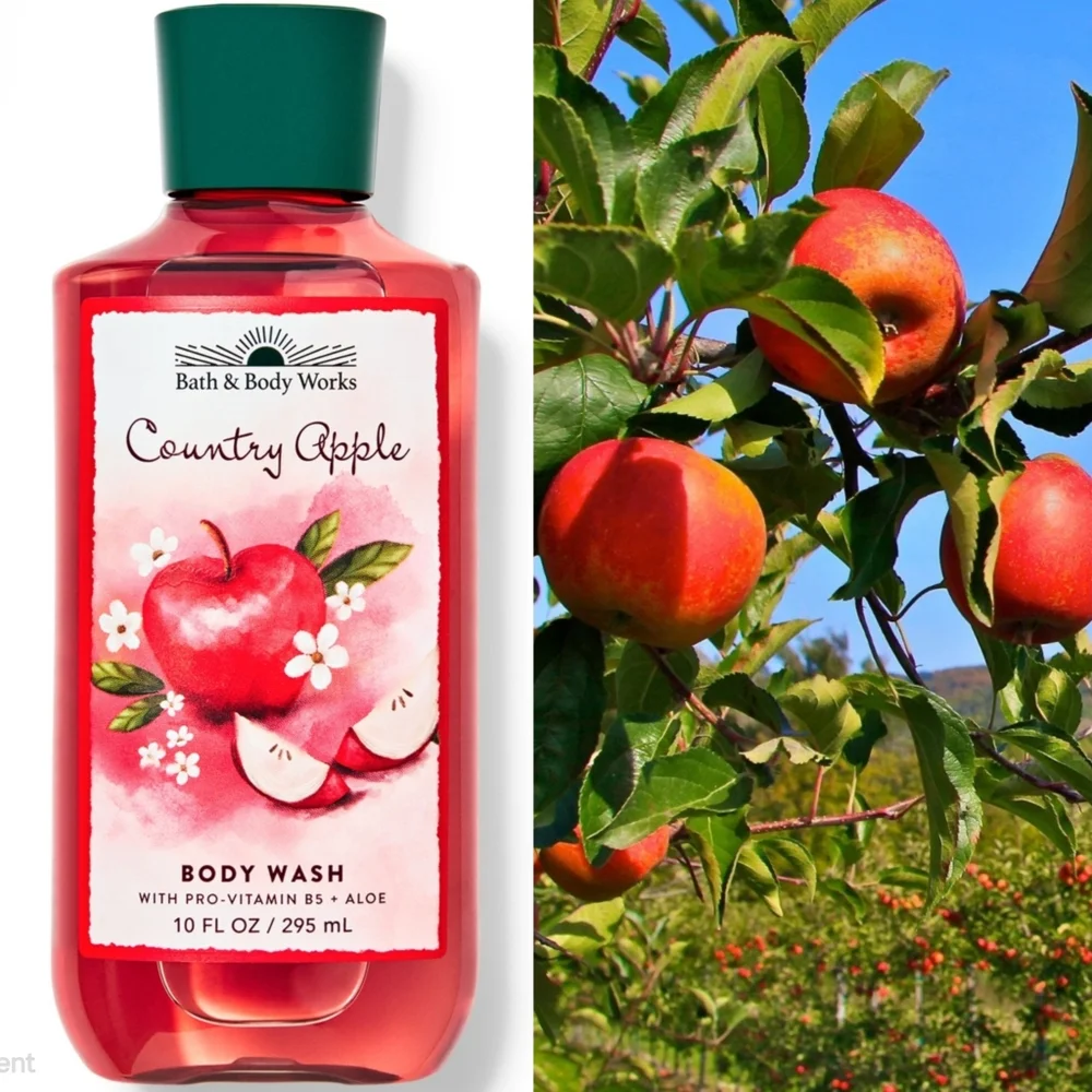 Bath & Body Works 90s Nostalgia Country Apple Body Wash 10oz NEW RARE